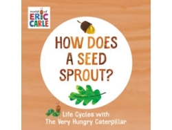 How Does a Seed Sprout?