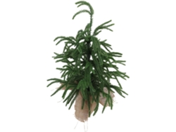 Mini Árbol De Navidad Artificial De Sobremesa En Pet Irrompible Con Retardante De Fuego, Diseño Real