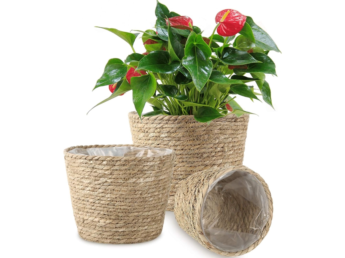 HYMNORA Cesta para plantas, cesta trenzada a mano con forro de plástico impermeable, macetas, contenedores para plantas de interior y exterior