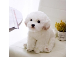 Peluche De Cachorro Bichón Frisé, Regalo De Cumpleaños Para Niños, Hecho De Felpa Y Algodón Pp.