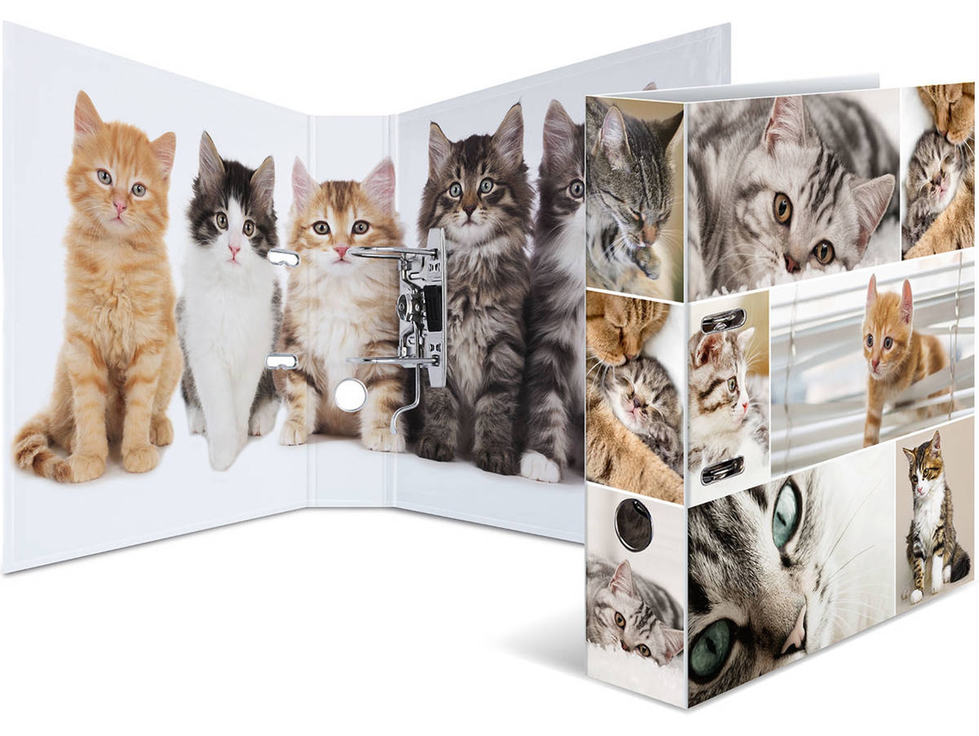 Carpeta HERMA 7166 (Multicolor - Cartón)