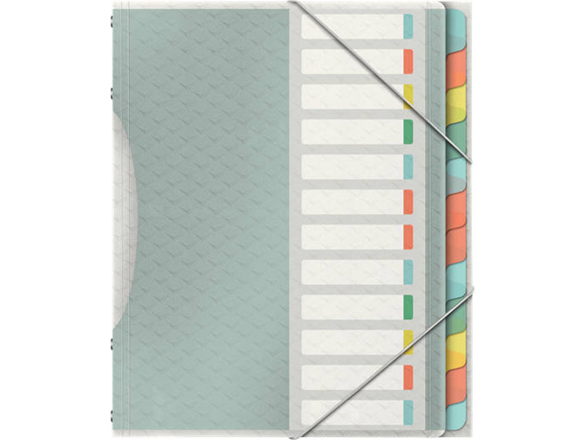 Separador ESSELTE Index (Multicolor - 26.6x2cm - Polipropileno)