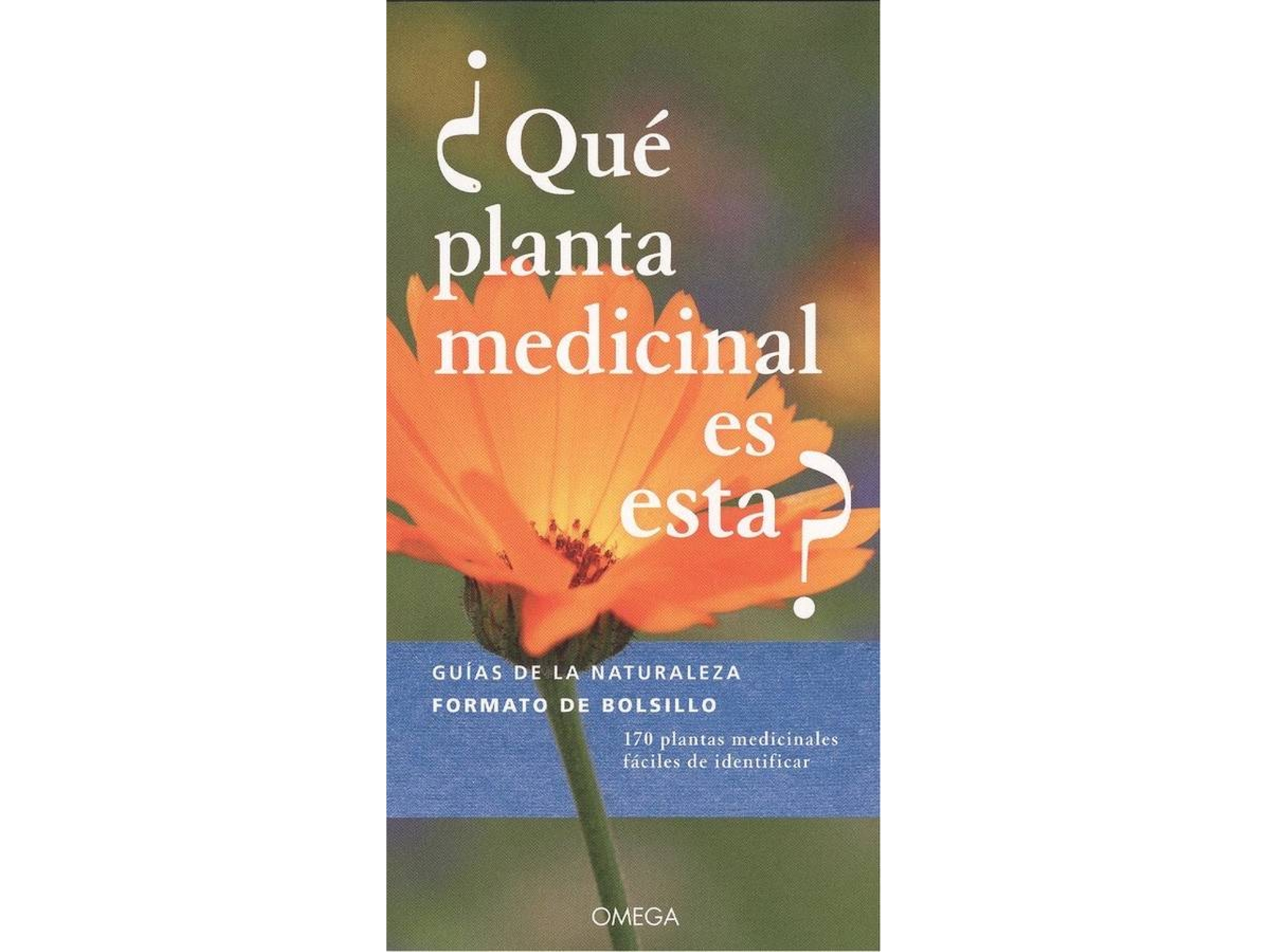 Libro ¿Què Planta Medicinal Es Esta? (Español)