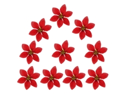 Flor de Pascua (Compra 10, Bien Empaquetadas)