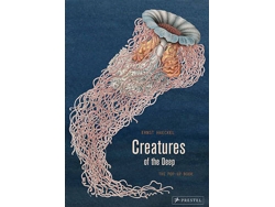 Libro Creatures Of The Deep: The Pop-Up Book de Ernst Haeckel And Maike Biedersta¨Dt (Inglés - 2016)