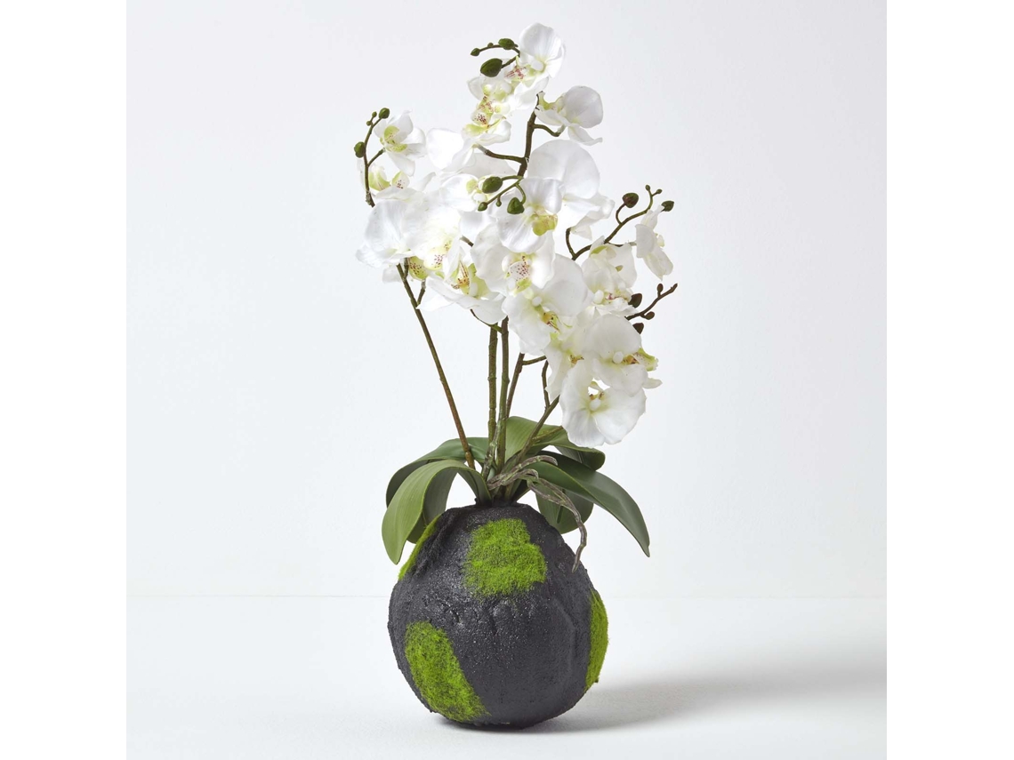Orquídea artificial Phalaenopsis blanca de Homescapes con base natural, 60 cm de altura
