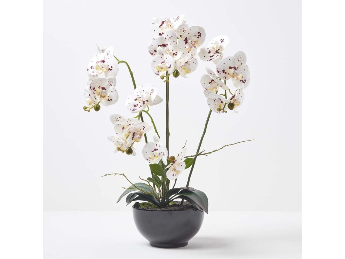 Homescapes White Orchid 62 Cm Phalaenopsis In Ceramic Pot Extra Large, 5 Stems