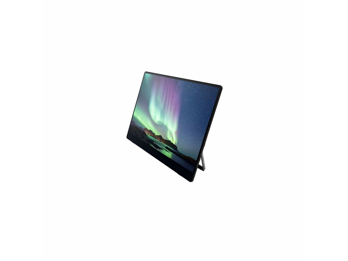 Monitor con Pantalla Táctil RICOH 150 (Negro - OLED - 15,6" - Enchufe EU - 1 ms)
