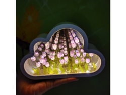 Nubes, Tulipanes, Mar De Flores, Espejos