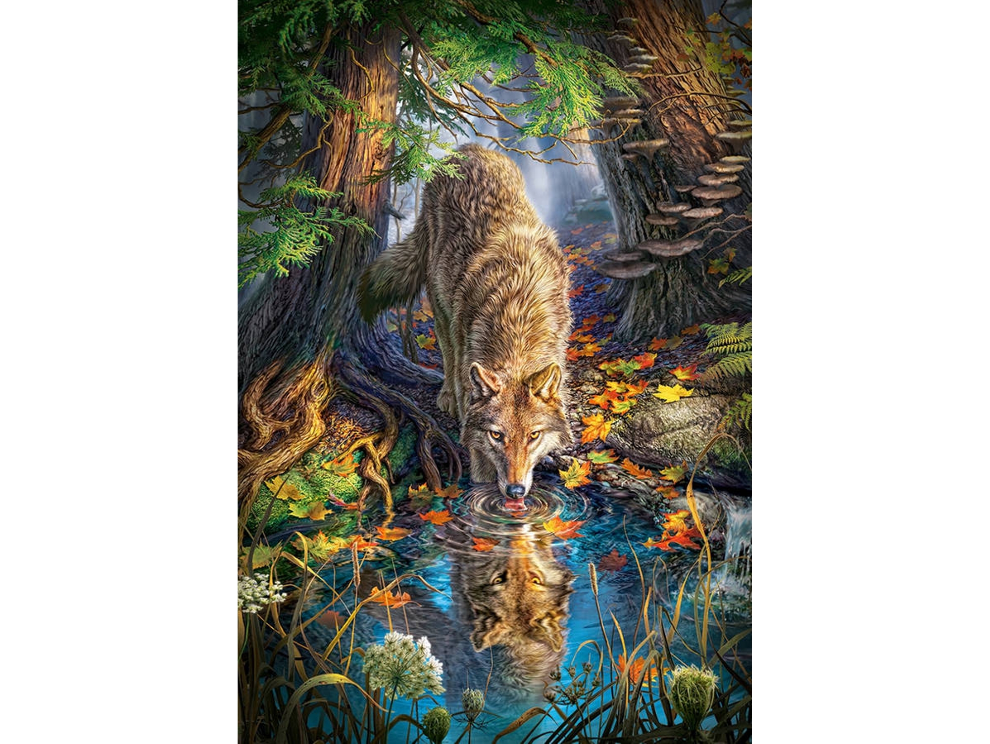 Puzzle CASTORLAND Wolf in the Wild (1500 Piezas)