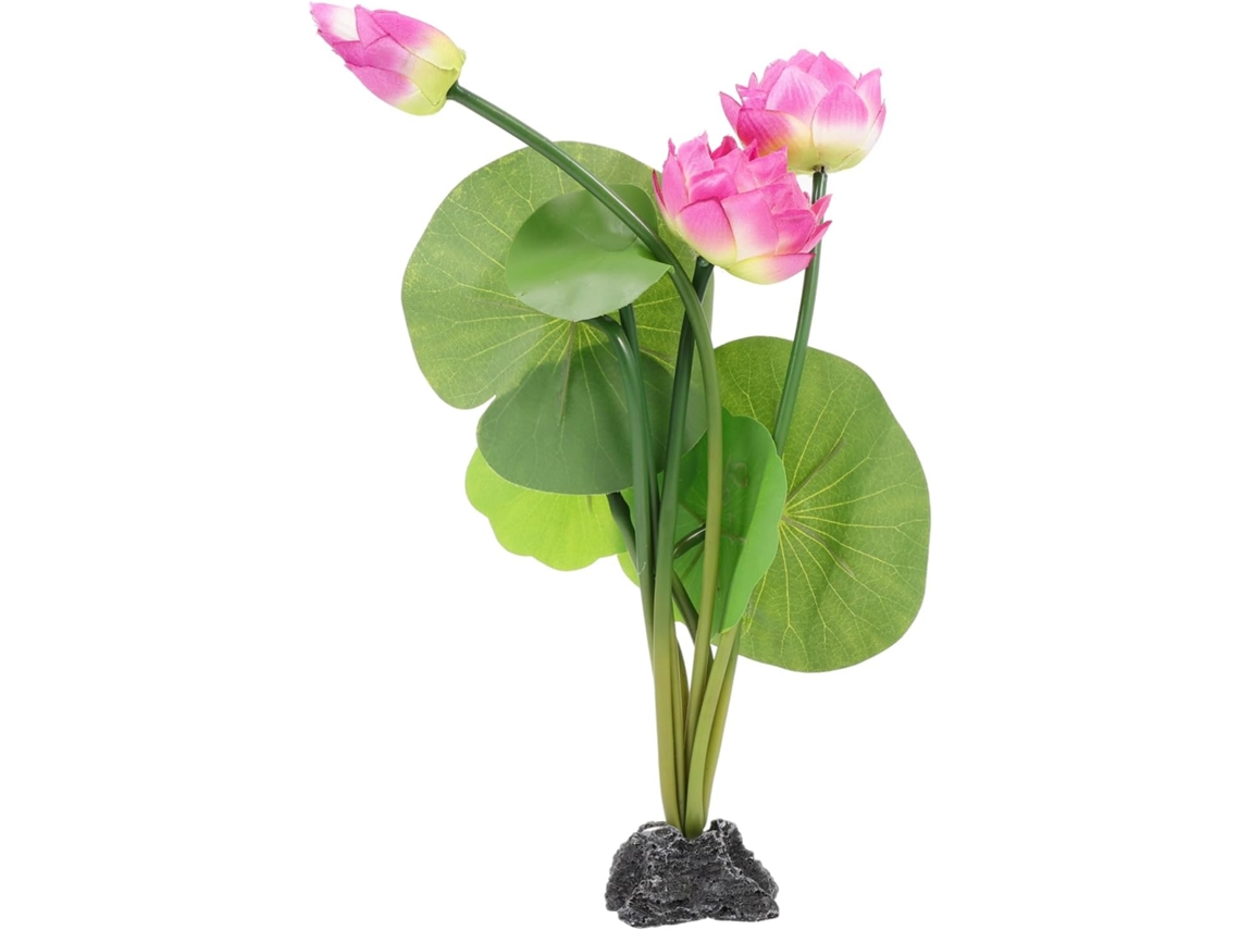 Decoración De Plato De Sashimi. El Diseño Exquisito Y Meticuloso Lo Hace Más Atractivo Y Refinado, Y Sirve ...