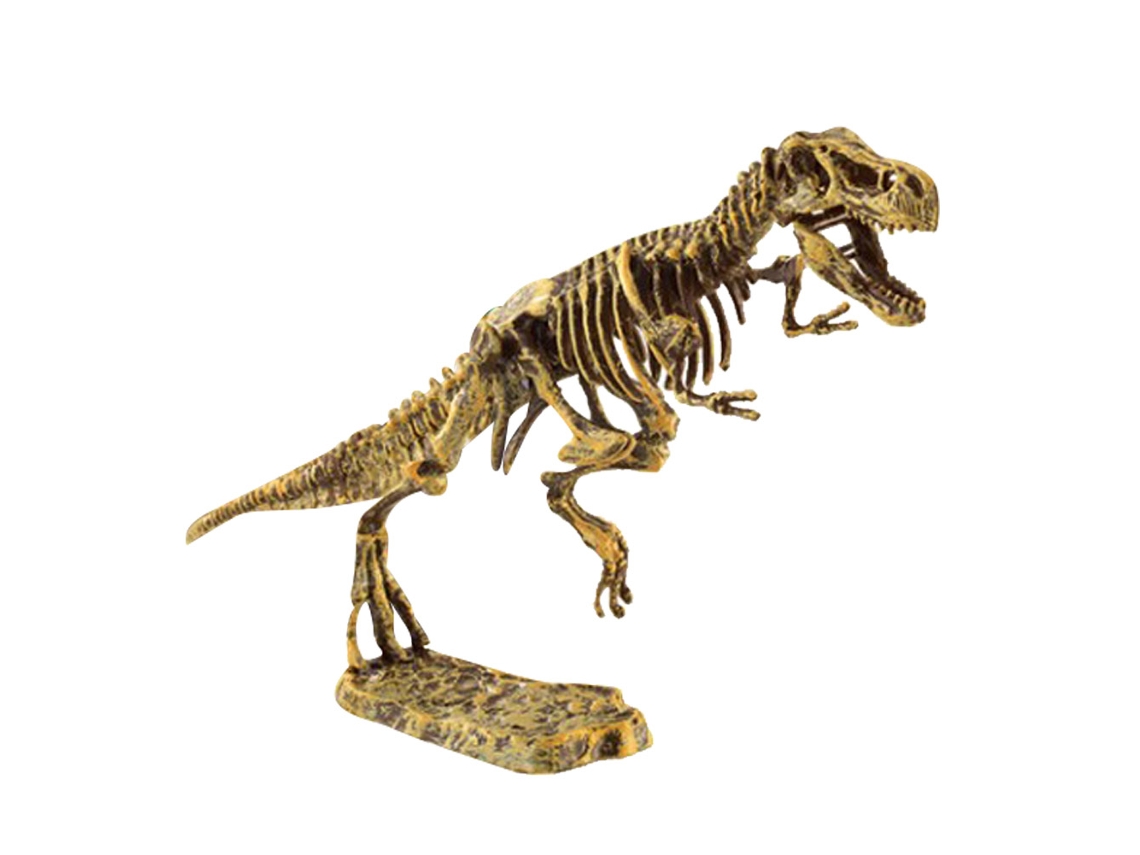 Juguete Educativo Con Modelo De Esqueleto De Dinosaurio Para Niños De 7 A 14 Años 1