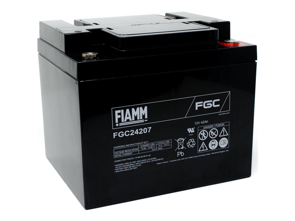 Batería FIAMM para FG24204 Vds
