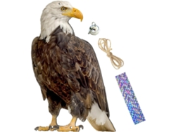 Adorno Giratorio De Águila De Pp Marrón Para Patio Y Sala De Estar, Campana Colgante Para Ahuyentar A Los Pájaros.