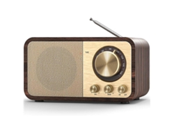 Radio FM con recepción, radio de transistores Bluetooth con altavoz de 5 W Chennnls
