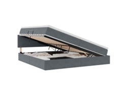 Maison Exclusive - Cama Con Almacenamiento Gris Oscuro 200 X 200 Cm Terciopelo