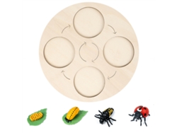 Ats-kit Ciclo De Vida De Insectos Con Bandeja De Madera Para Proyectos Escolares Y Herramientas Educatsivas Infantiles