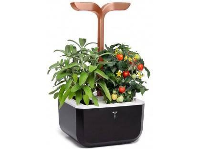Maceta de Autorriego VÉRITABLE Huerta Urbana Smart Cooper Edition