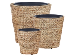 Conjunto de 3 macetas BELIANI Plaka de Jacinto de agua Natural 49x49x47