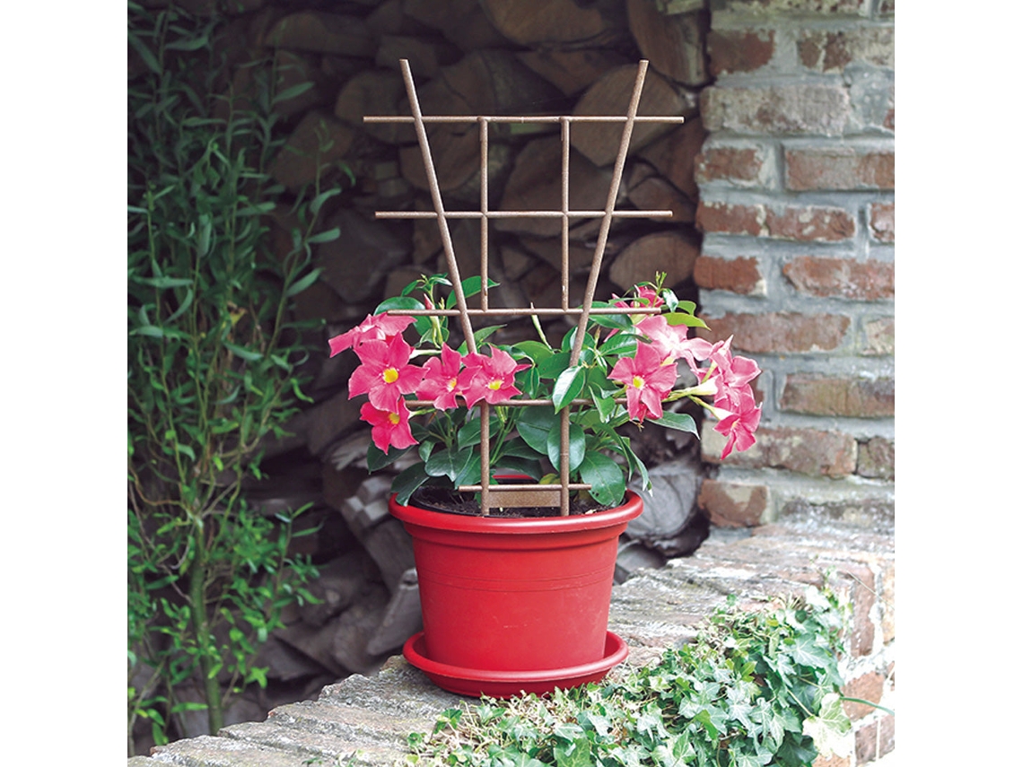 Protector de espalda Echelle 50cm NORTENE Marrón