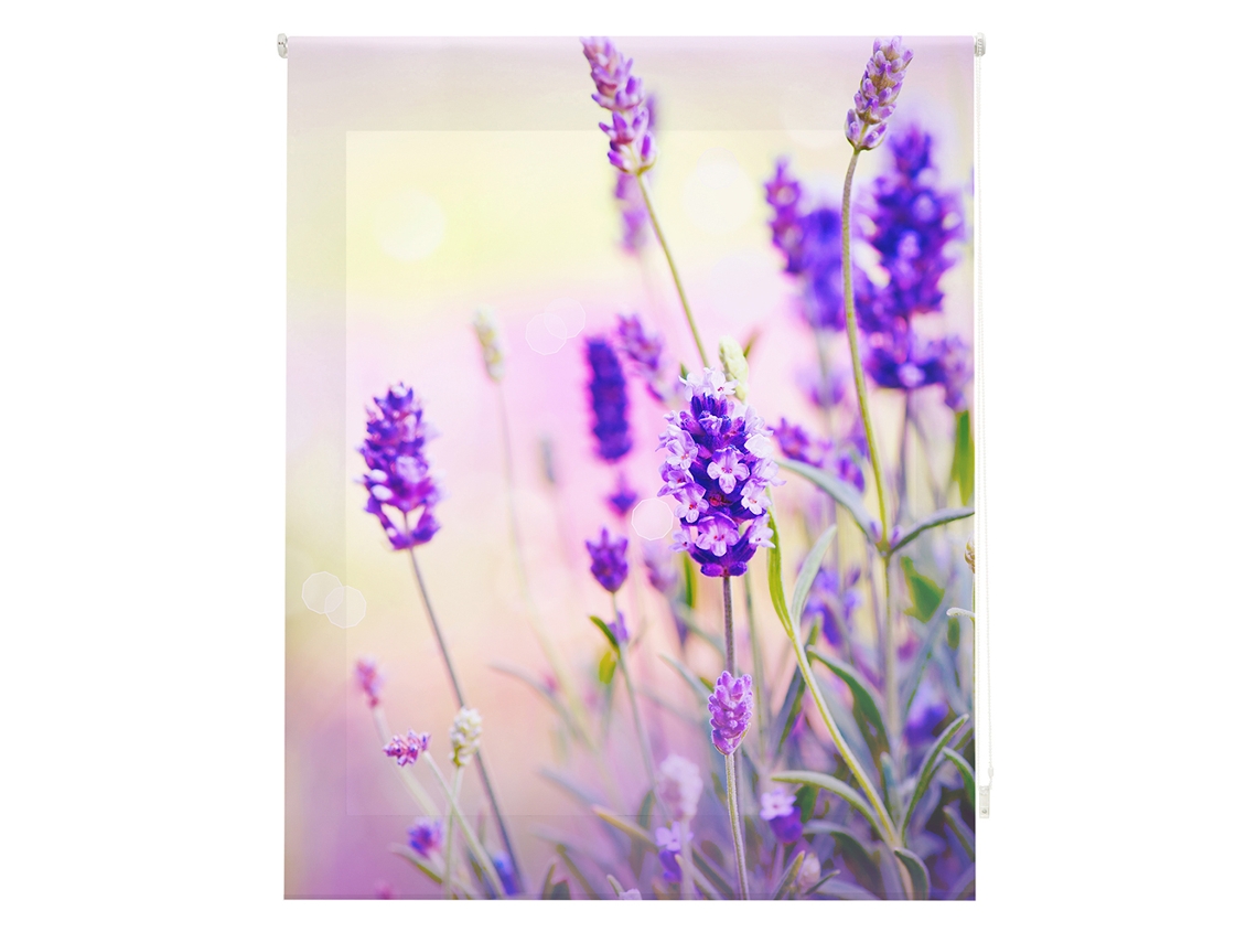 Estor Enrollable HAPPYSTOR Estampado Digital Paisajes HSP93002 180x180 cm