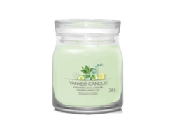 Vela perfumada Yankee Candle Cooler con pepino y menta, cera de soja, 567 g, duración de 35 a 50 horas