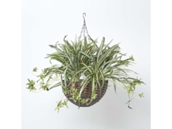Planta araña colgante artificial Homescapes, 60 cm
