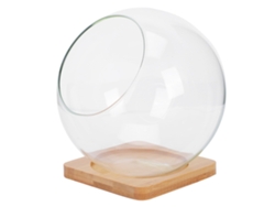 Florero De Vidrio Bubble Bowl Maceta Con Base De Madera