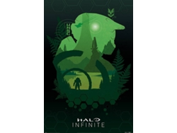 Póster PYRAMID INT PP34654 Halo Infinite Lakeside