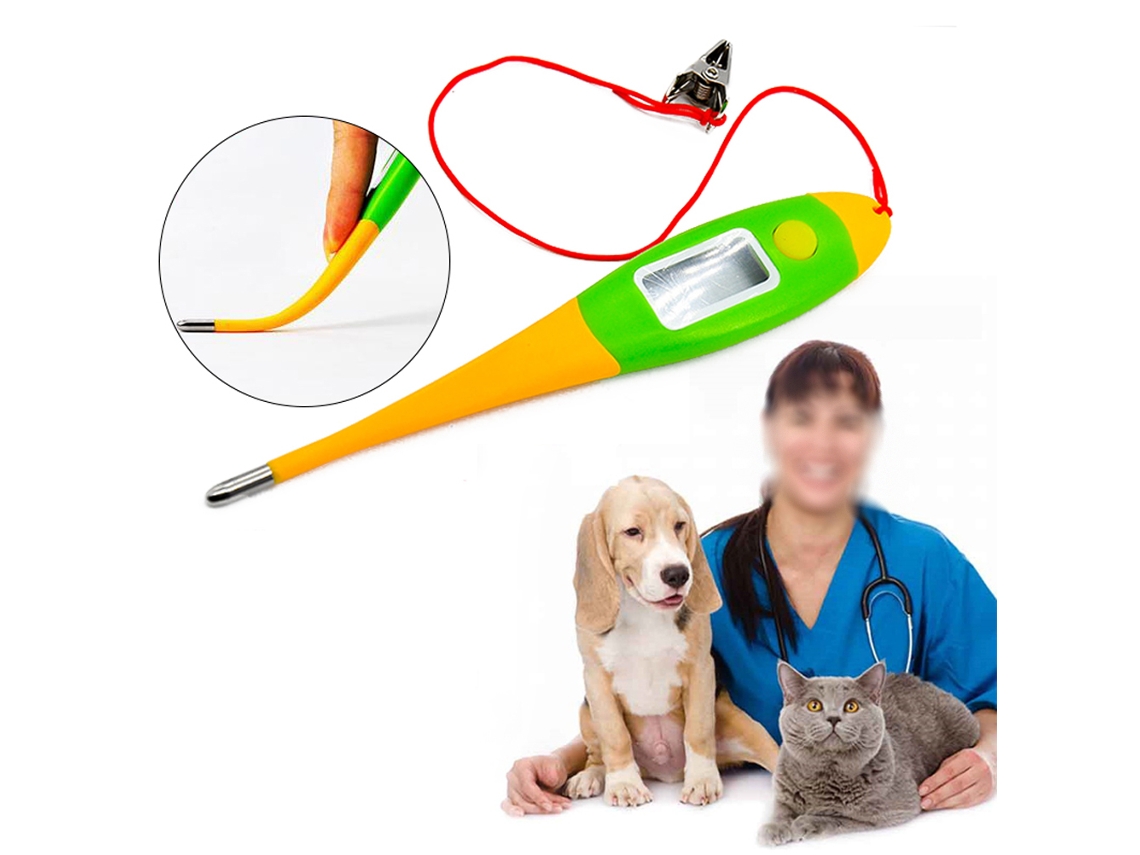 Termómetro electrónico para mascotas y perros