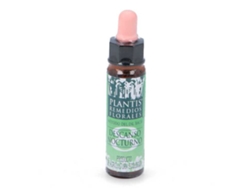 Suplemento Alimentar ARTESANIA Remedio Nocturno 8 (10 Ml)