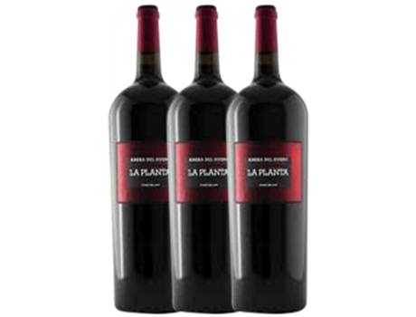Vino ARZUAGA Arzuaga La Planta Tempranillo Ribera Del Duero Joven (1.5 L - 3 unidades)