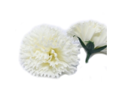 Flores Artesanais de Sabão Cravo Creme Unidade 7X5 Cm