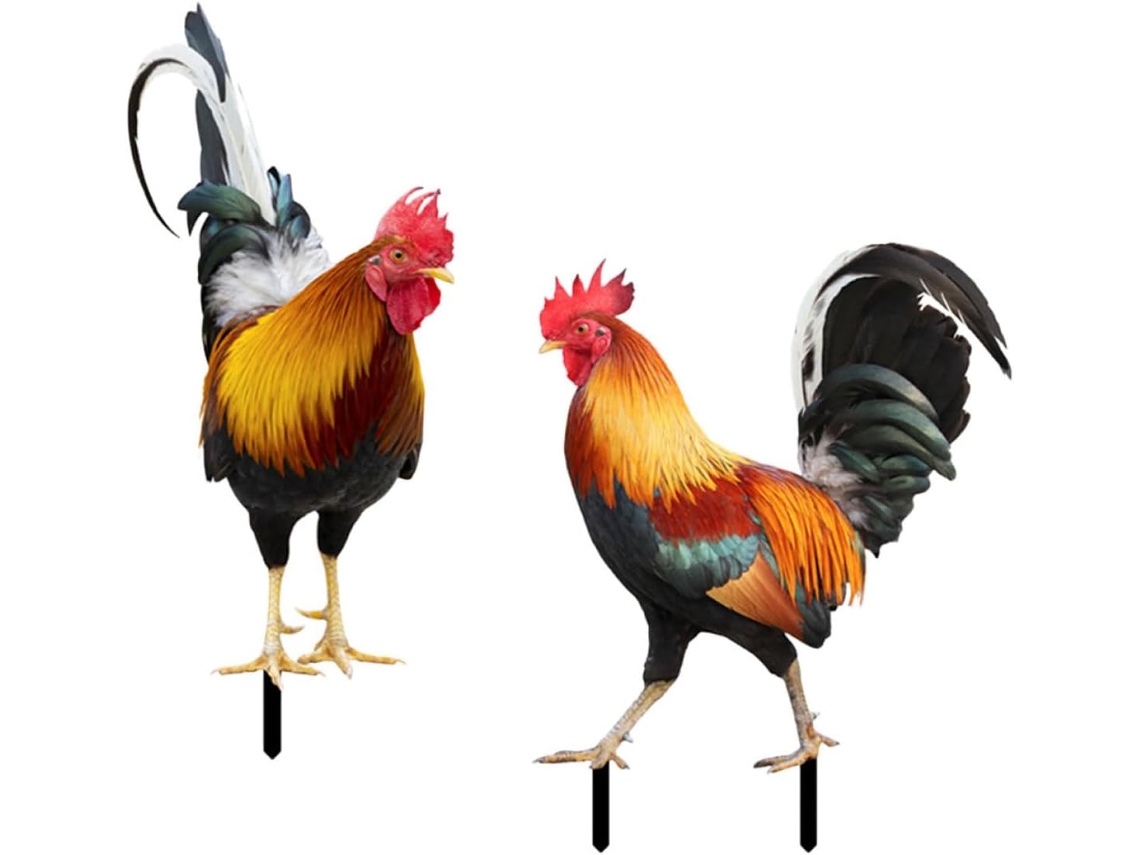 Gallos Realistas Kichouse De Estilo Moderno Y Rústico, Hechos De Acrílico, Estacas Para Jardín, 2 Piezas, Para Diseño