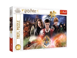 Puzle de figuras TREFL Fantasia (8 anos - 300 unidades)