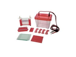 Aparato De Electroforesis Lf-mini2 Para Electroforesis De Muestras De Proteínas Con Hendidura Pequeña