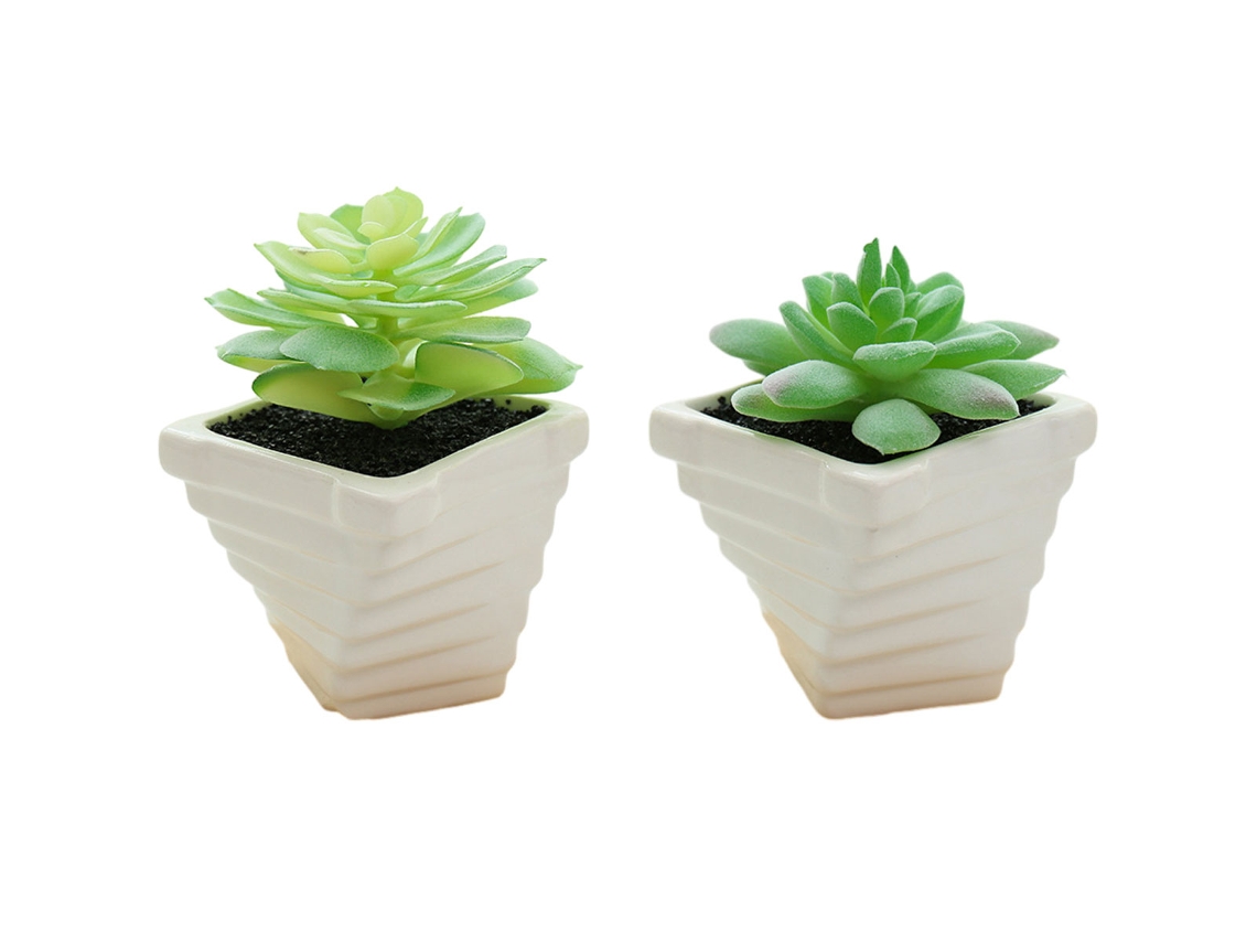 Adornos pequeños de plantas suculentas en maceta creativas, 2 uds. NEVEANCE