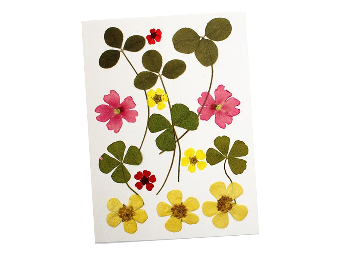 13 Unidades/Bolsa de Flores Secas Naturales y Hojas Amarillas Slowmoose