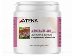 Polvo Auricularia Mrl 250 Gr Atena
