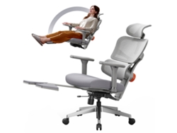 Silla ergonómica NEWTRAL NT002 Soporte lumbar adaptable Reposabrazos y reposacabezas ajustables Gris