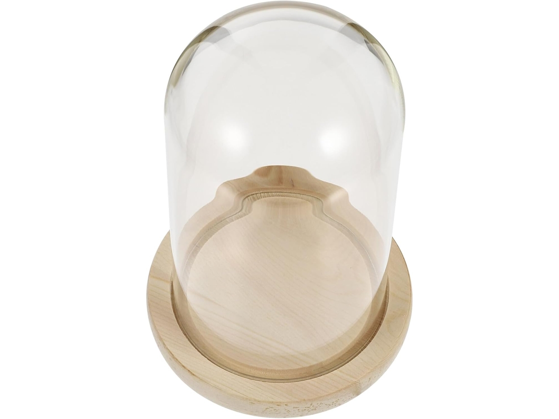 Cúpula De Cristal Decorativa De 12x21 Cm Con Base De Madera Natural, Cubierta De Flores Preservadas Y Mini