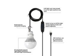 Lámpara LED USB portátil con 3 modos | Sin marca