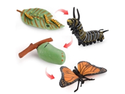 Ats-modelos De Ciclo De Crecimiento Animal Realistas Juguetes Para Niños Herramientas De Enseñanza Y Aprendizaje
