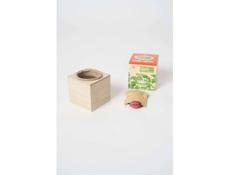 Kit de Ciencia AMBARSCIENCE Grow your Garden - Frijol Mágico (Edad Minima: 3 años)
