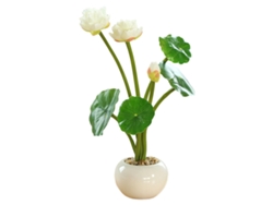 Bonsái de loto redondo, plantas artificiales para decoración de interiores. JEIIBRZUI