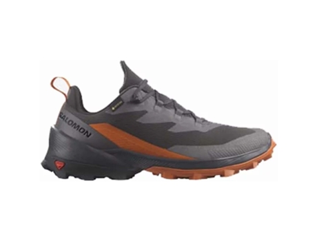 Zapatillas de Hombre SALOMON Cross Over Goretex Gris (42)