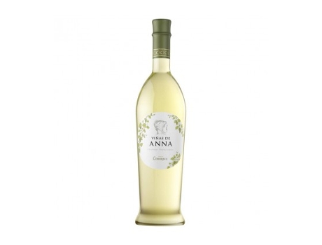 Viñas de Anna Blanc de Blancs 2020 CODORNIU