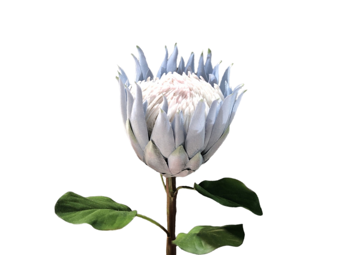 Simulación De Flor De Protea Artificial Flocada, Flores Falsas, Accesorios De Fotografía, Decoración Del Hogar