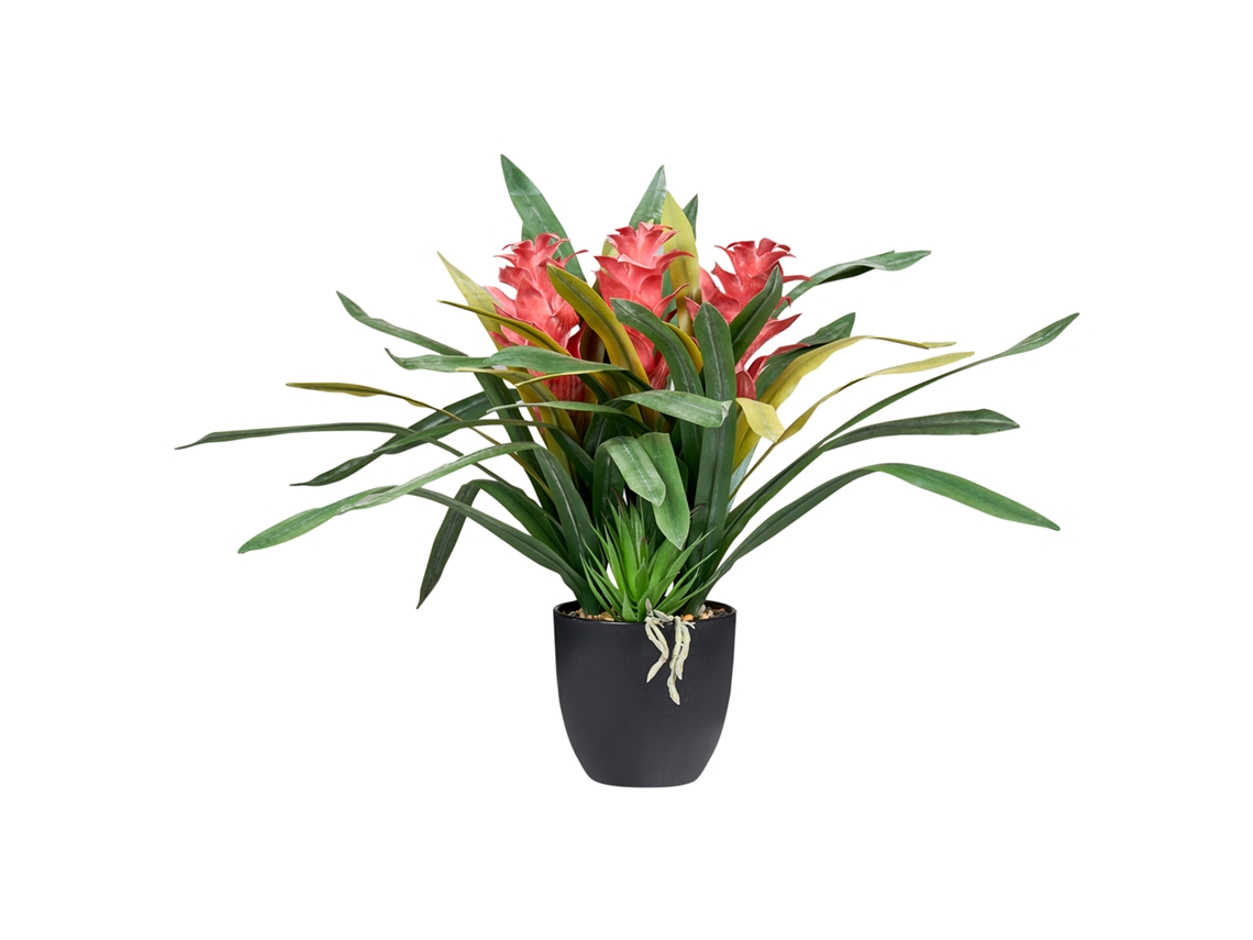 Planta Artificial Beliani Guzmania Atilla De Material Sintético Verde 56x56x50