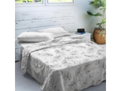 Juego de Sábanas SANDAL Estampadas 2 Piezas Cama 135 - Algodón - ACANTO STONE